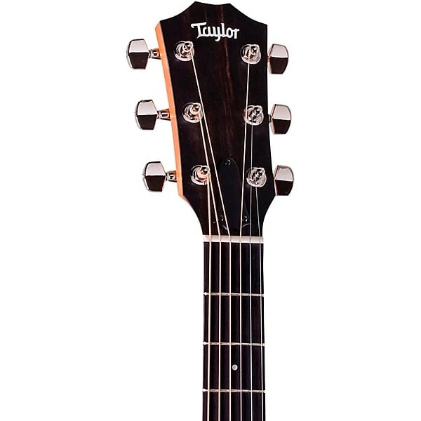 Taylor 210ce Plus Acoustic Electric Guitar - Natural