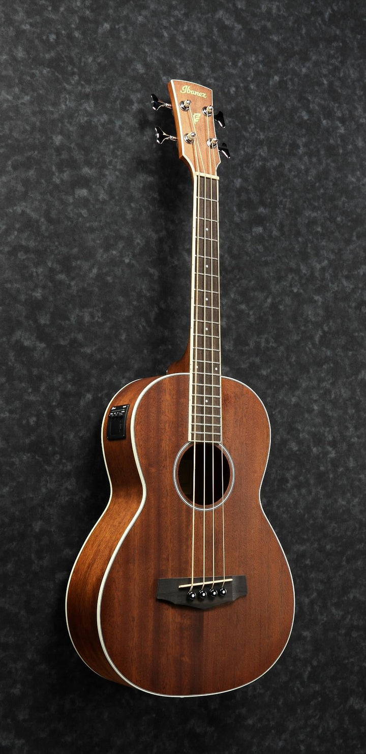 Ibanez PNB14EOPN Parlor Acoustic/Electric Bass (Open Pore Natural) 5