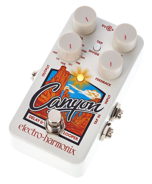 Electro-Harmonix Canyon Delay and Looper 2