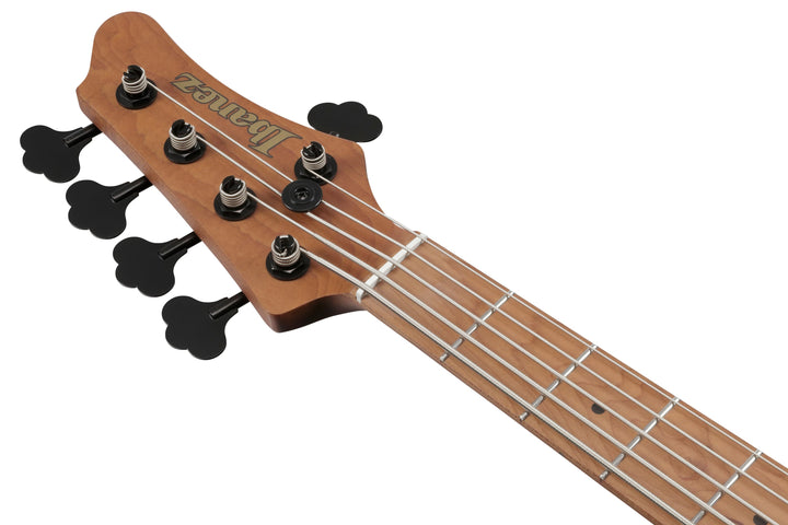 Ibanez MDM1305NAB 5-String Electric Bass Guitar - Natural Stained Amber Burst 2