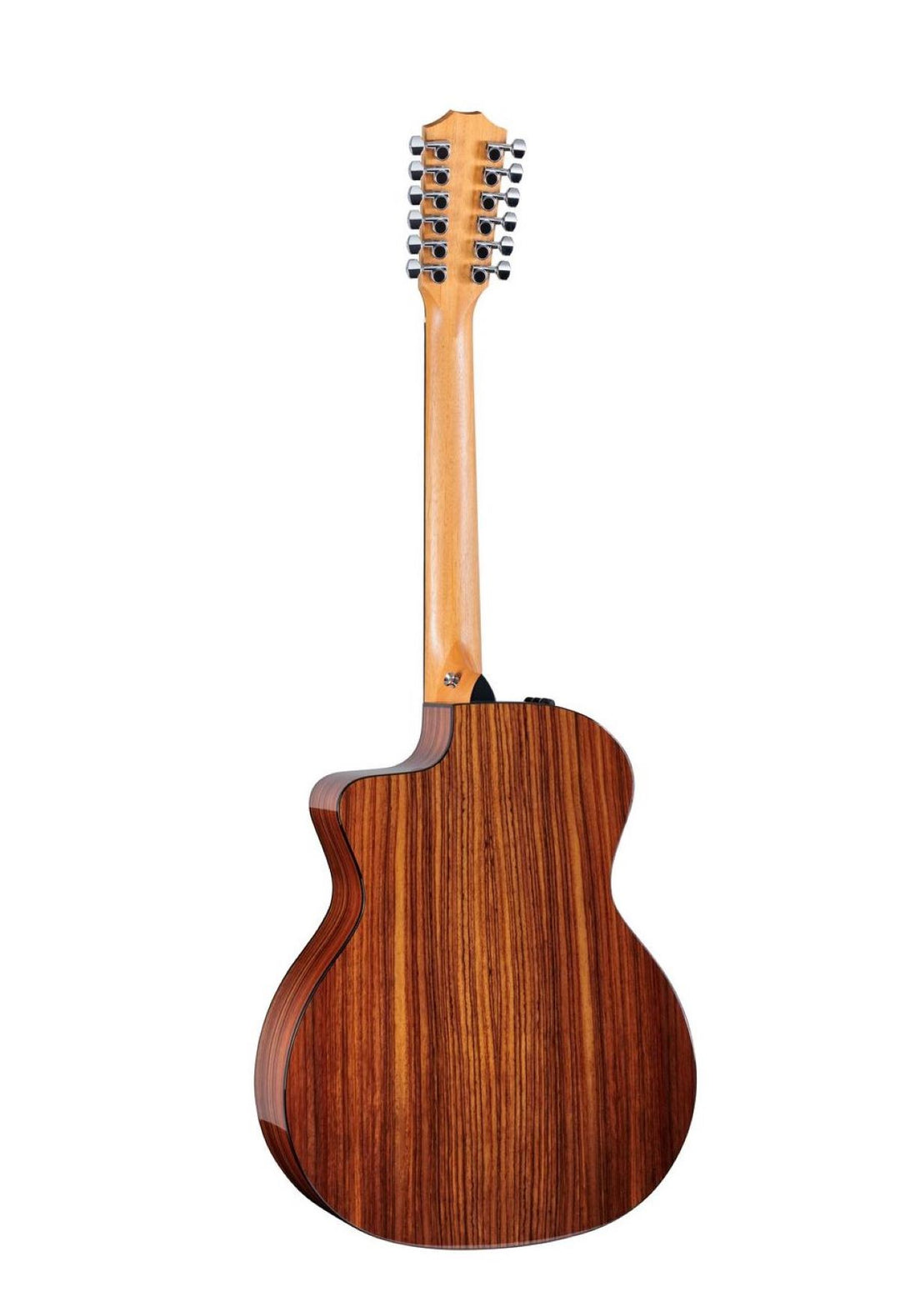 Taylor 254ce Plus 12-String Acoustic Electric Guitar with AeroCase 2