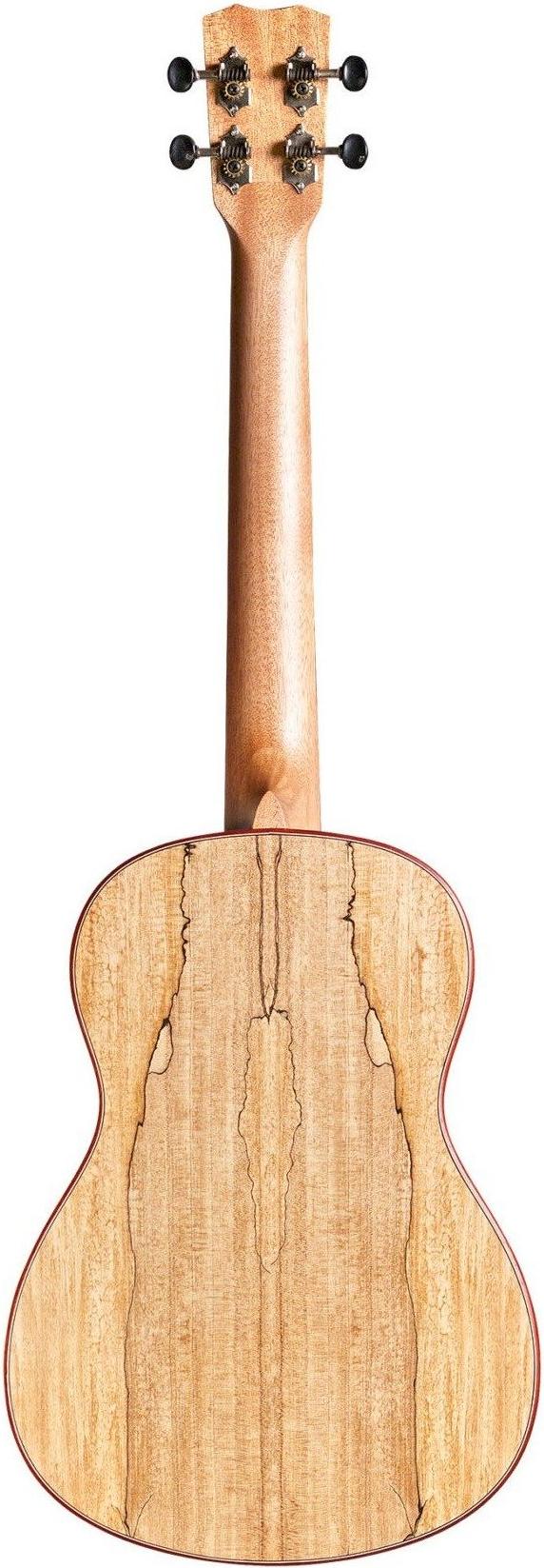 Cordoba 24B Solid-Top Baritone Ukulele