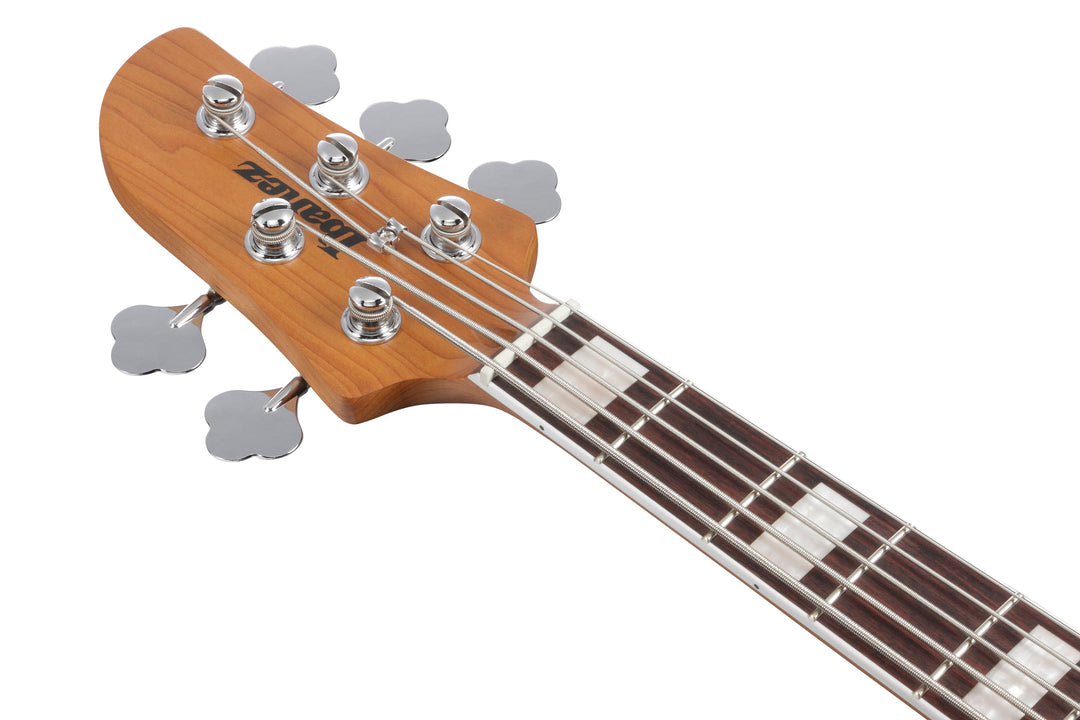 Ibanez TMB405TACBS Talman Standard 5-String Bass Guitar - Cosmic Blue Starburst 3
