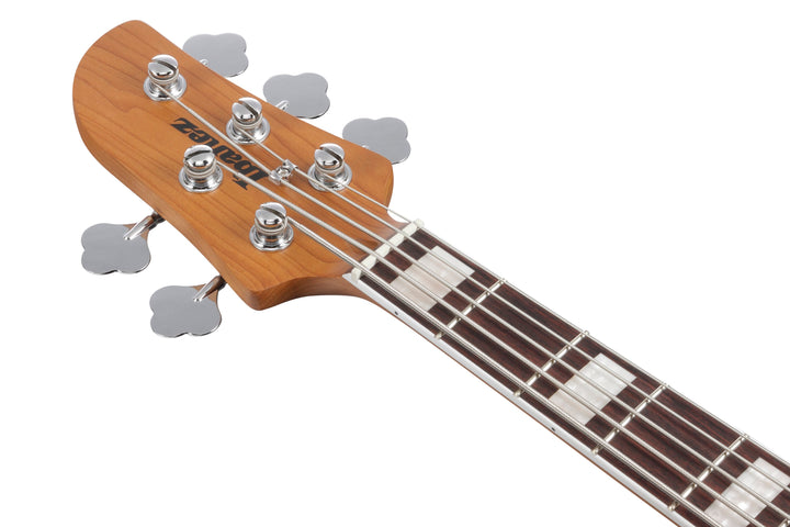 Ibanez TMB405TACBS Talman Standard 5-String Bass Guitar - Cosmic Blue Starburst 3