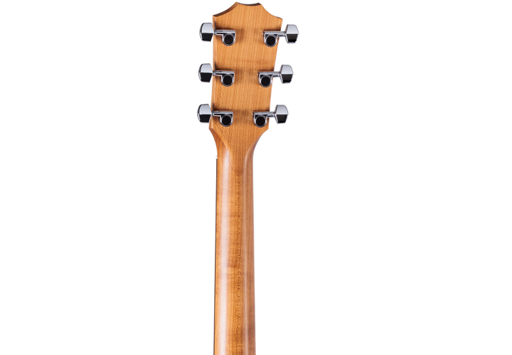Taylor 'Limited Edition' Academy 10e Acoustic Electric Guitar - Natural 2