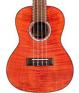 Cordoba 15-CFM Flame-Top Concert Ukulele - Rose Red