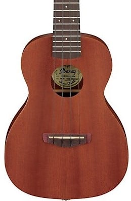 Ibanez UKC100OPN Concert Ukulele (Open Pore) - With Gigbag