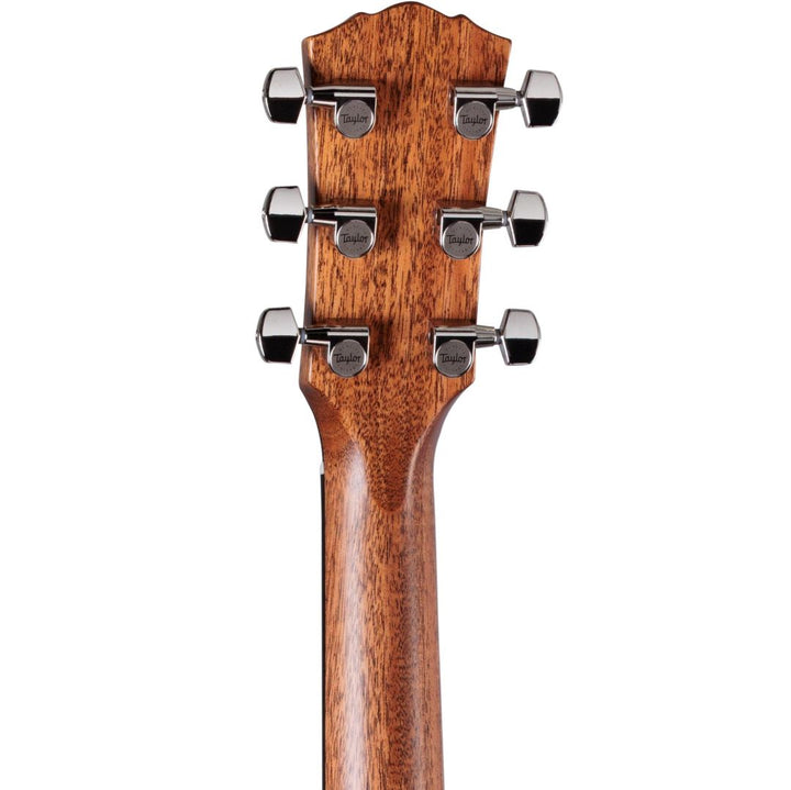 Taylor Gold Label 517e Acoustic Electric Guitar - Natural with Firestripe Pickguard 2