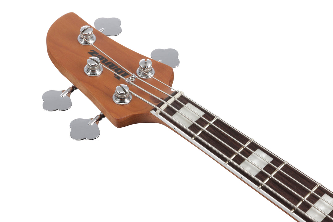 Ibanez TMB400TAIAB Talman Standard Bass Guitar - Iced Americano Burst