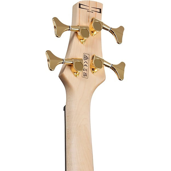 Ibanez Gio Electric Bass Guitar - Transparent Pale Black Burst