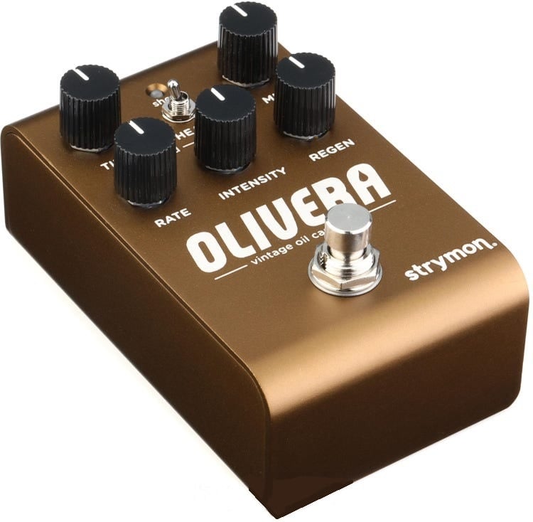 Strymon Olivera Vintage Oil Can Echo