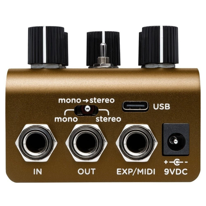 Strymon Olivera Vintage Oil Can Echo