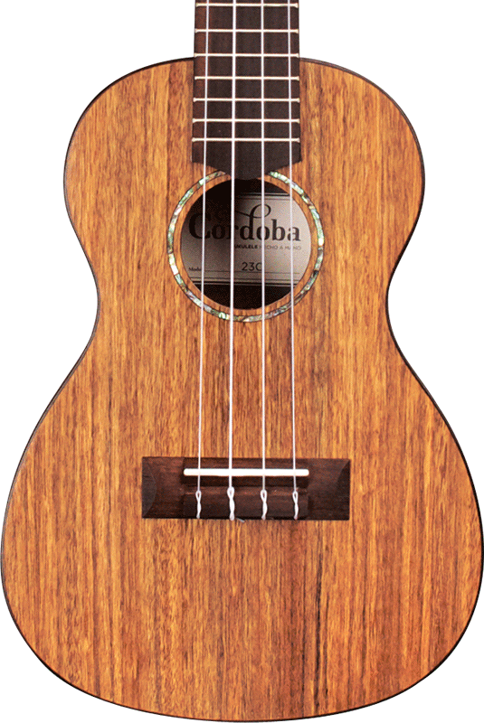 Cordoba 23C Concert Ukulele