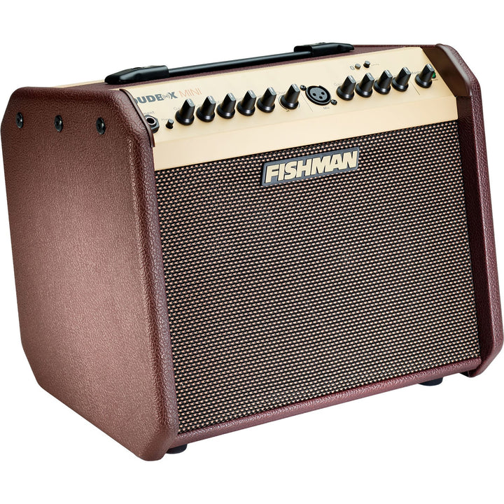 Fishman PRO-LBT-500 Loudbox Mini Amp with BlueTooth 2