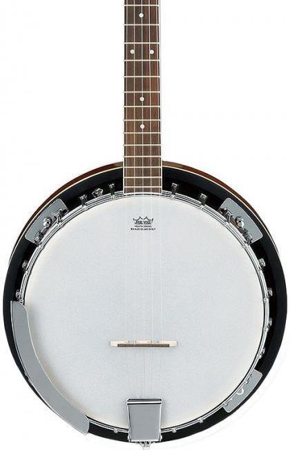 Ibanez B50 5-String Banjo - With Mahogany Resonator