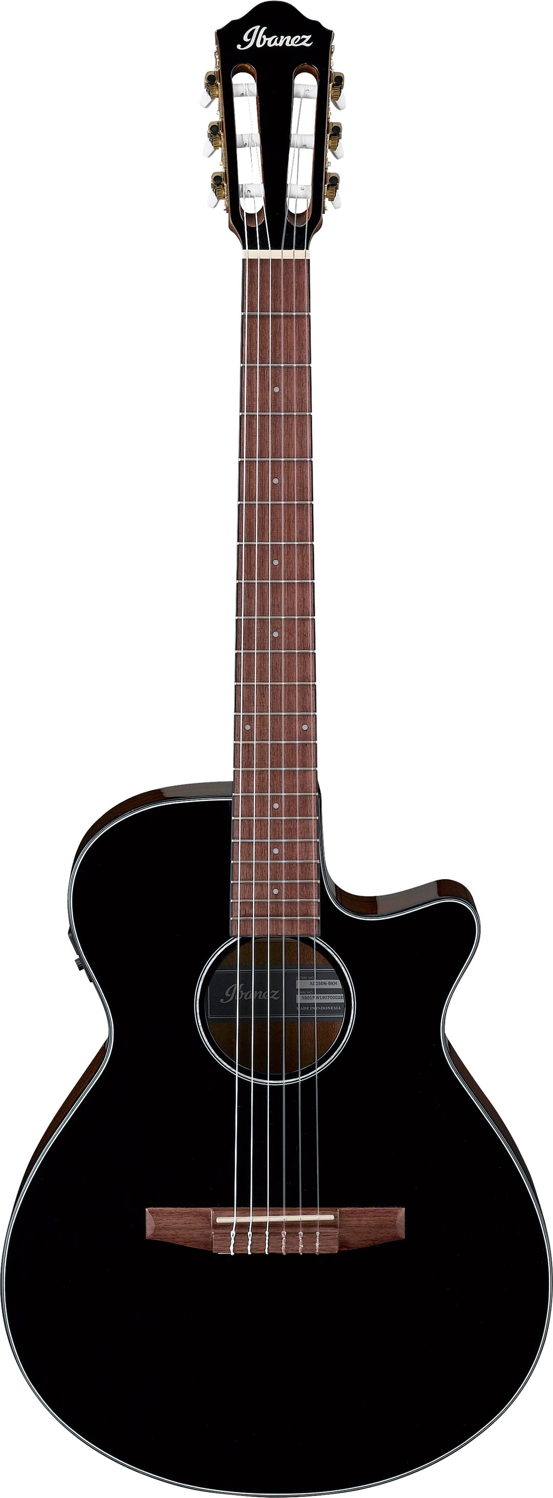 Ibanez AEG50NBKH Acoustic-Electric Nylon-String Guitar (Black)