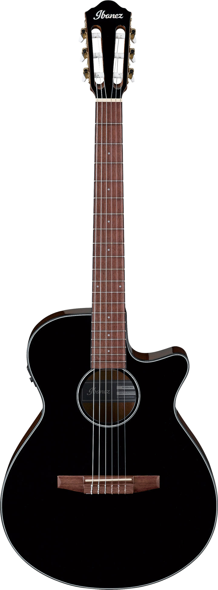 Ibanez AEG50NBKH Acoustic-Electric Nylon-String Guitar (Black)