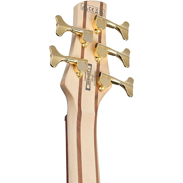 Ibanez SR305EDXWZM Standard 5-String Bass Guitar - Wine Red Frozen Matte