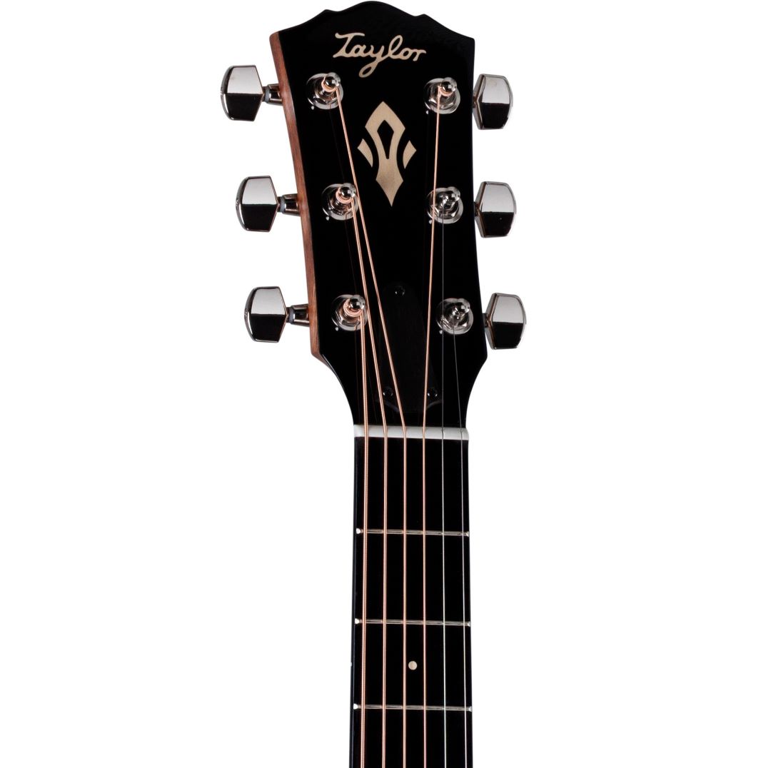 Taylor Gold Label 517e Acoustic Electric Guitar - Natural with Firestripe Pickguard 6