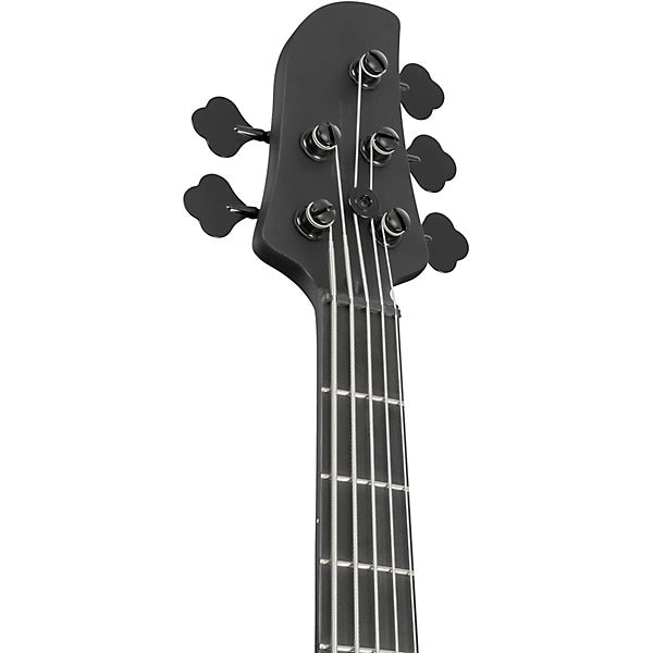 Ibanez Talman 5-String Electric Bass Guitar - Black Flat