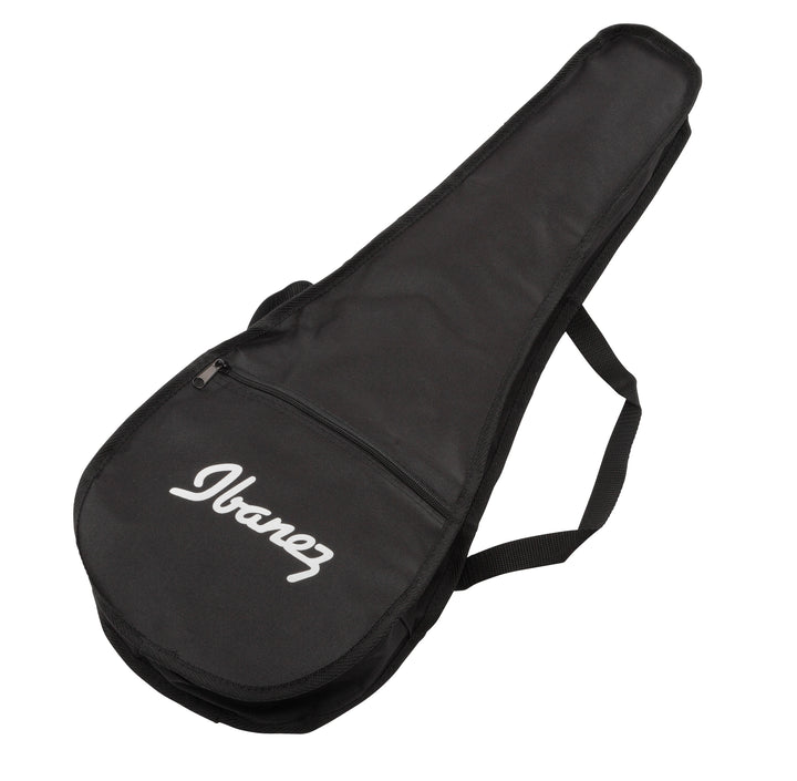 Ibanez URGT100BK Acoustic-Electric Tenor Ukulele - Black High Gloss