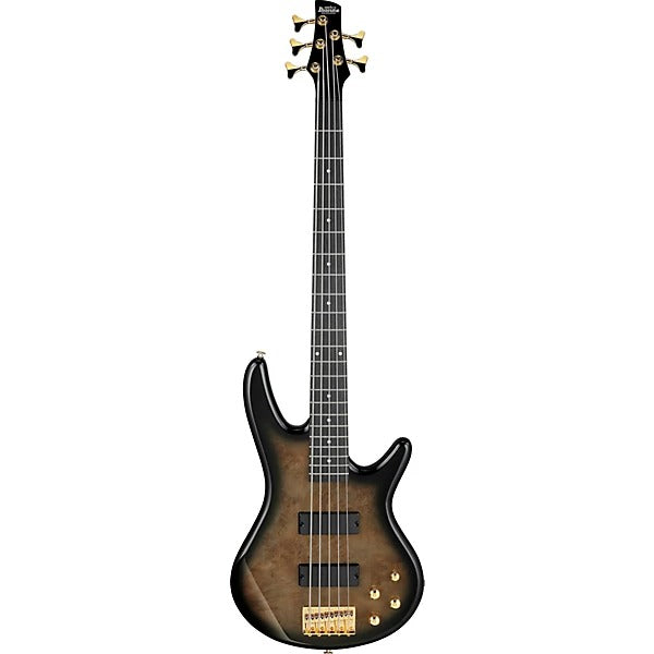 Ibanez Gio 5-String Electric Bass Guitar - Transparent Pale Black Burst