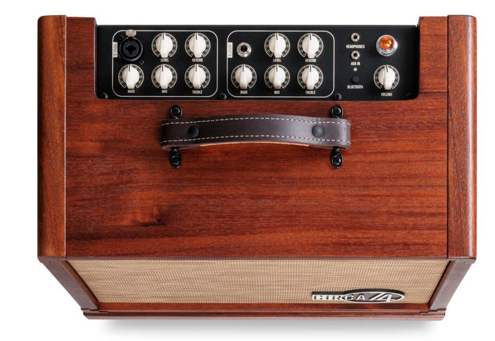 Taylor Circa74 Mahogany Acoustic and Vocal Amplifier with Stand 2