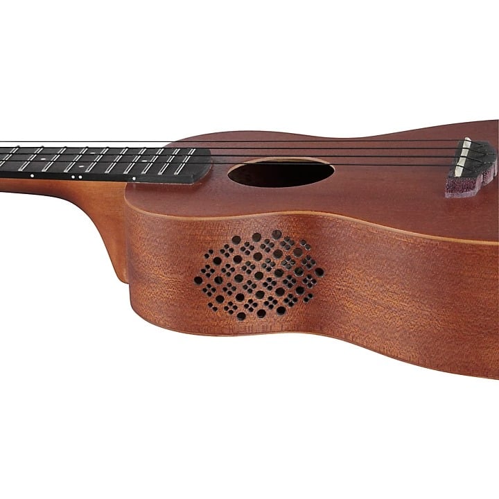 Ibanez UKC100OPN Concert Ukulele (Open Pore) - With Gigbag 5