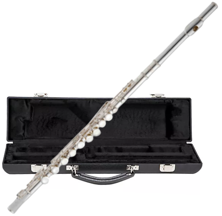 RS Berkeley F102 Closed Hole Flute - Silver Plated