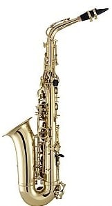 Selmer PAS111 Prelude Alto Saxophone - Yellow Brass Lacquer 2