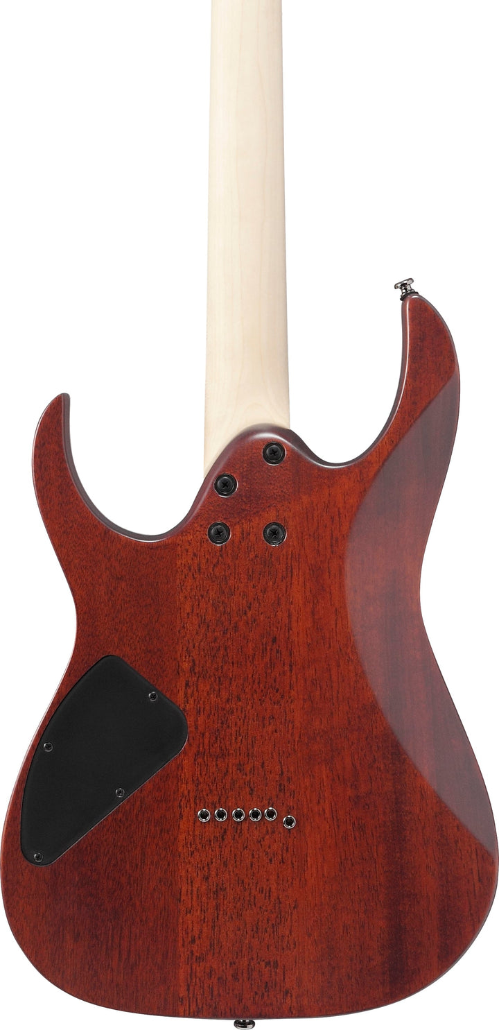Ibanez RG421SSEM Standard Electric Guitar - Sea Shore Matte 5