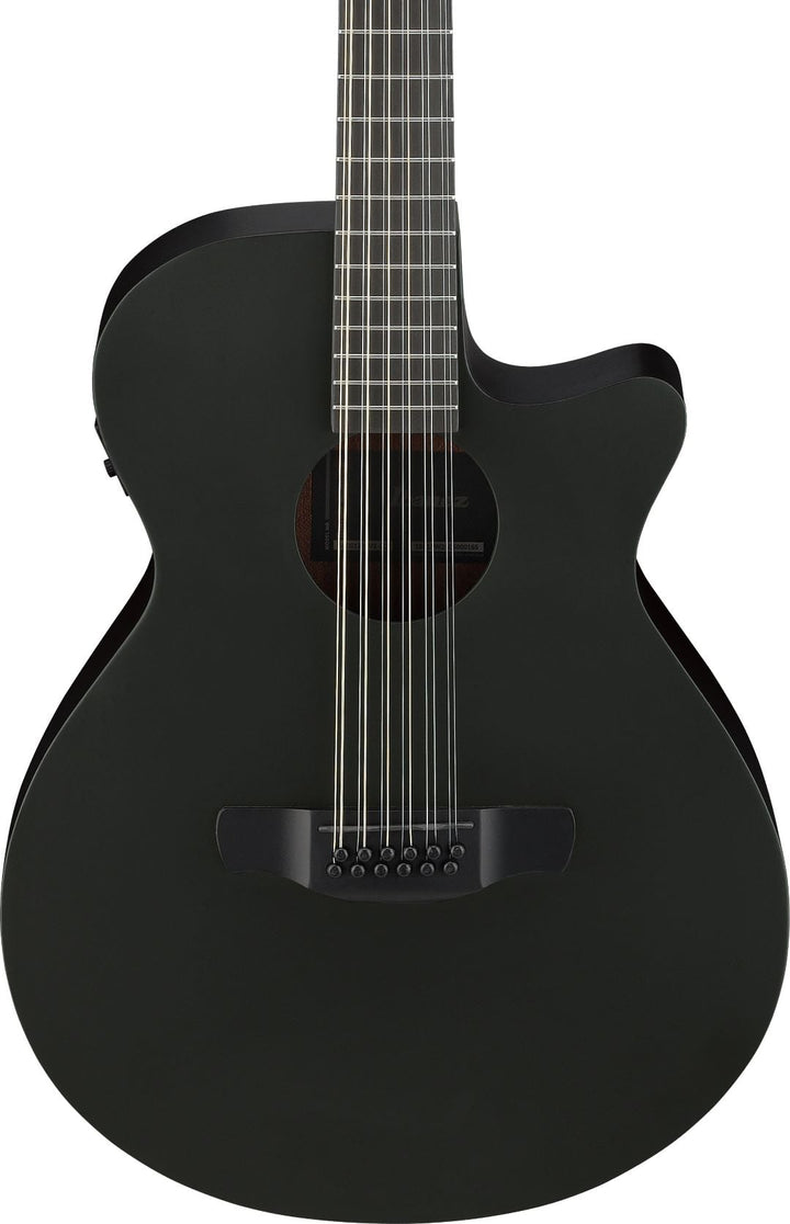 Ibanez AEG1221BOT 12-String Acoustic Electric Guitar - Black Out