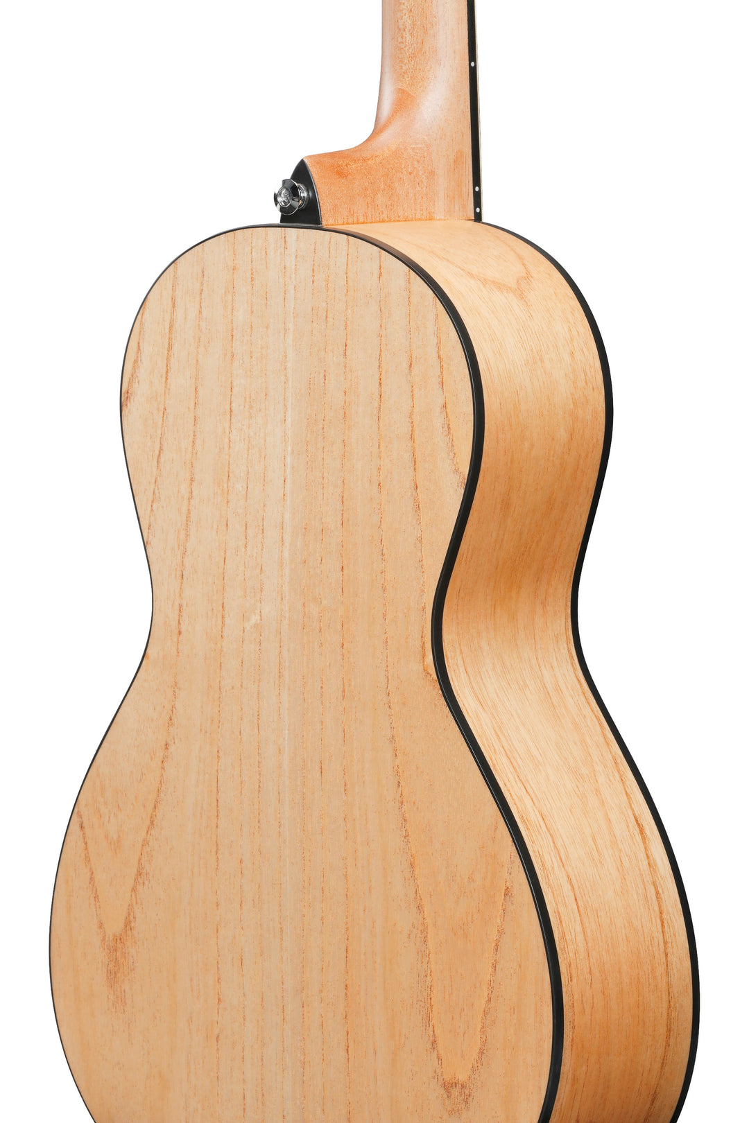 Ibanez PN2MDOPN Acoustic Guitar - Open Pore Natural 2