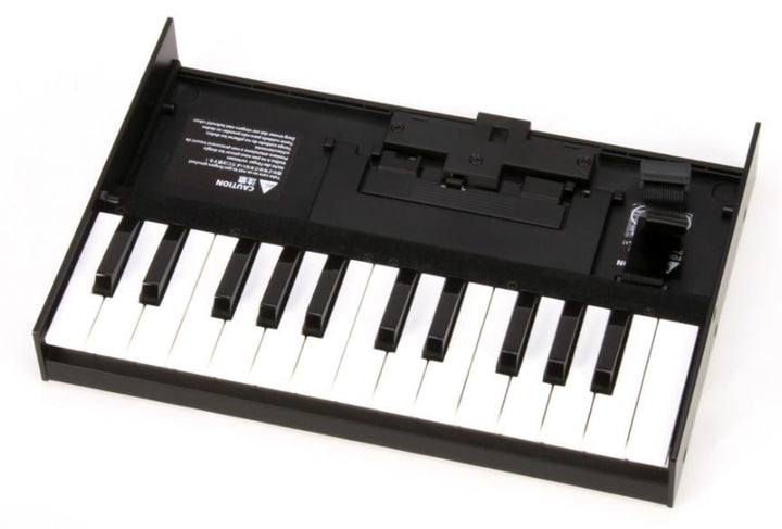 Roland K-25m Boutique Series Keyboard Unit 2