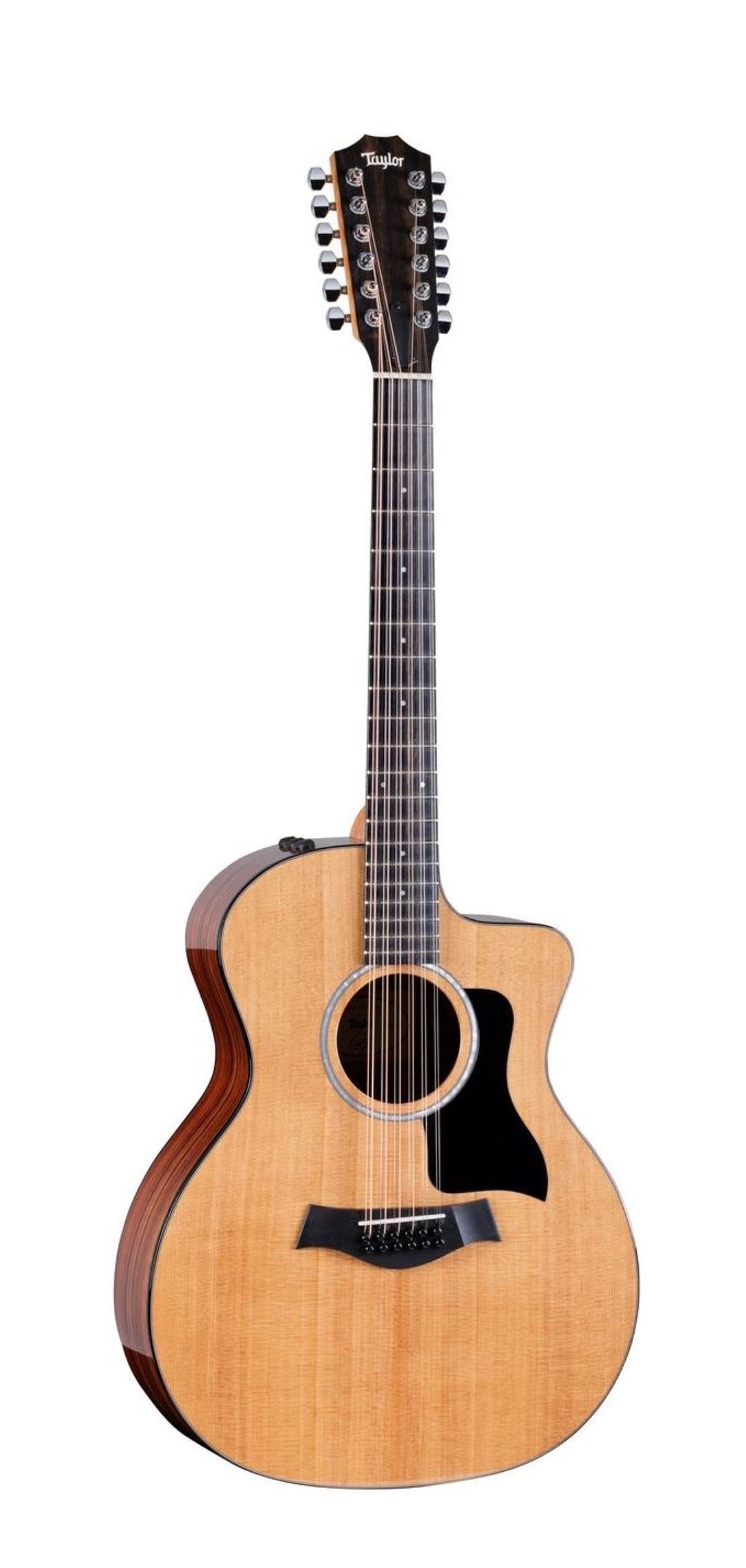 Taylor 254ce Plus 12-String Acoustic Electric Guitar with AeroCase