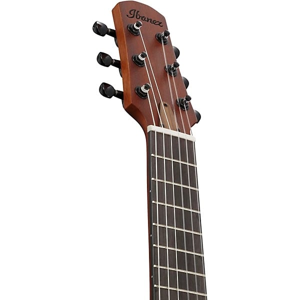 Ibanez AUP10N Nylon 6-String Piccolo Acoustic Guitar - Light Brown Sunburst