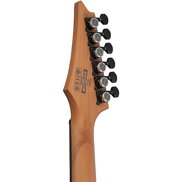 Ibanez RGD61 Electric Guitar - Black Aurora Burst Matte 2