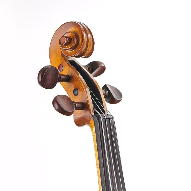 Stentor 1400A2 Stentor Student Violin - 4/4 Size