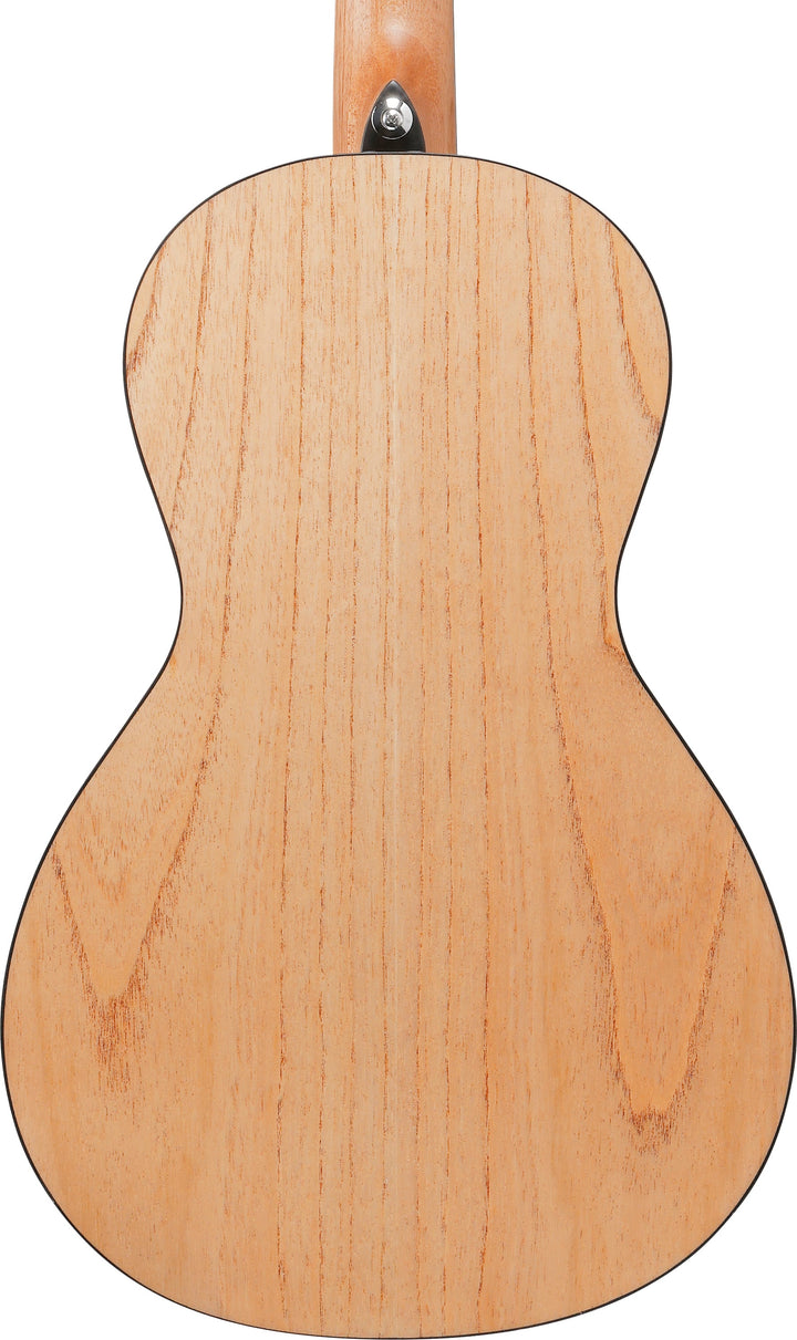 Ibanez PN2MDOPN Acoustic Guitar - Open Pore Natural 5