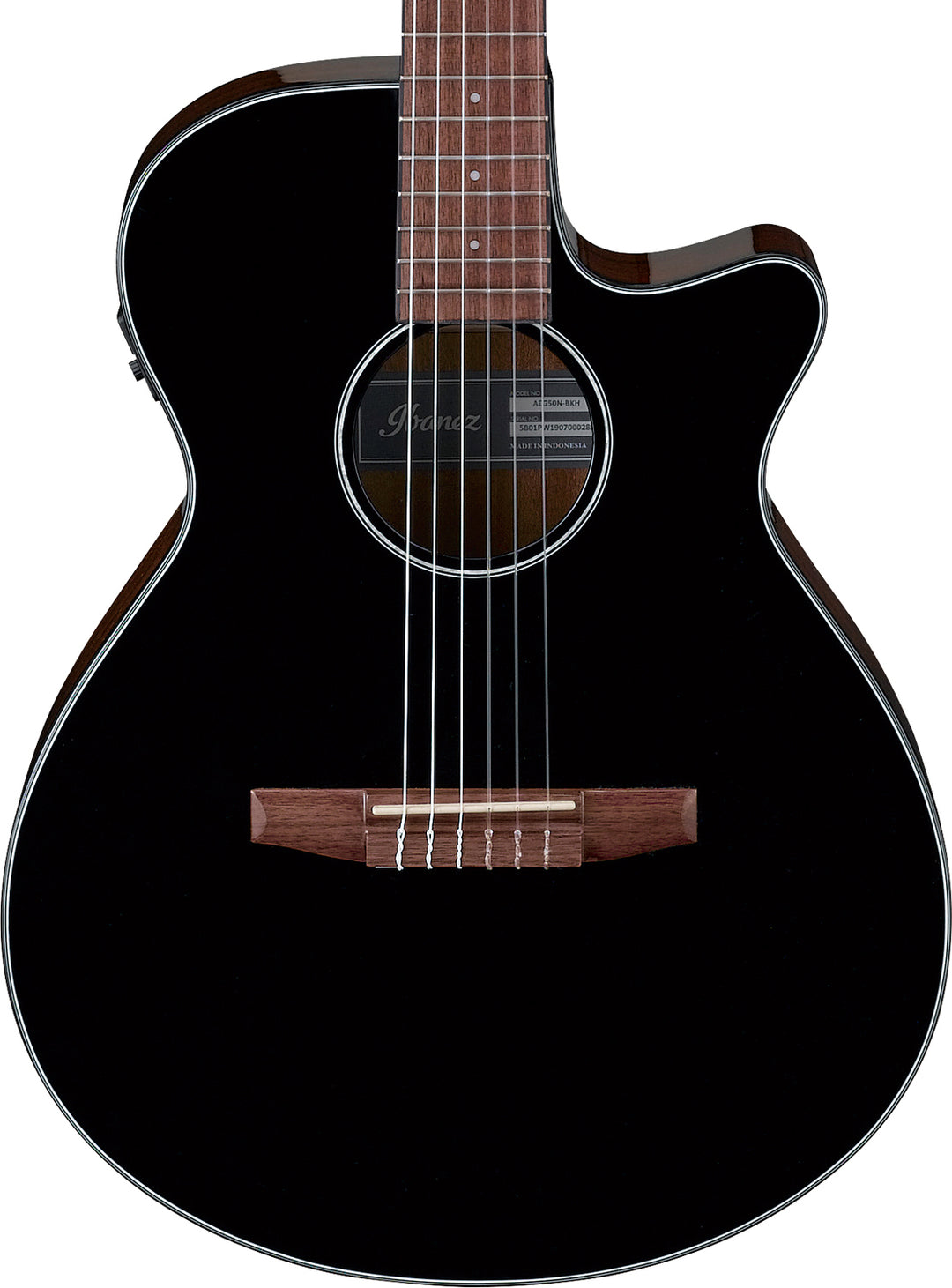 Ibanez AEG50NBKH Acoustic-Electric Nylon-String Guitar (Black)