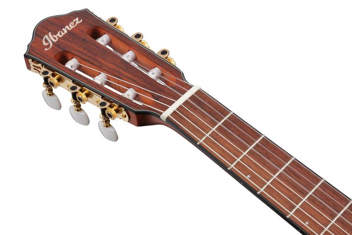 Ibanez FRH10NRGF Nylon String Acoustic Electric Guitar - Rose Gold Metallic Flat 6
