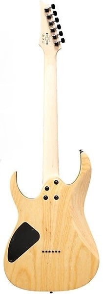 Ibanez RG421AHM Electric Guitar - Blue Moon Burst 2