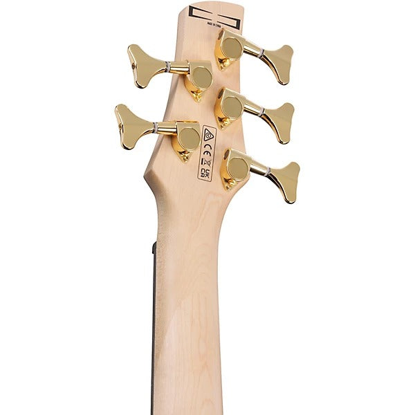 Ibanez Gio 5-String Electric Bass Guitar - Transparent Pale Black Burst