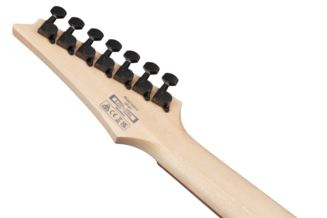 Ibanez RGA742EXBAM Standard 7-String Electric Guitar - Black Aurora Burst Matte