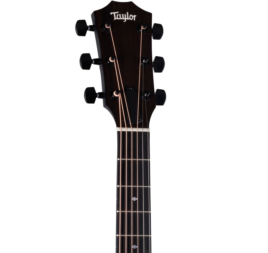 Taylor 214ce Special Edition Acoustic Electric Guitar - Transparent Grey