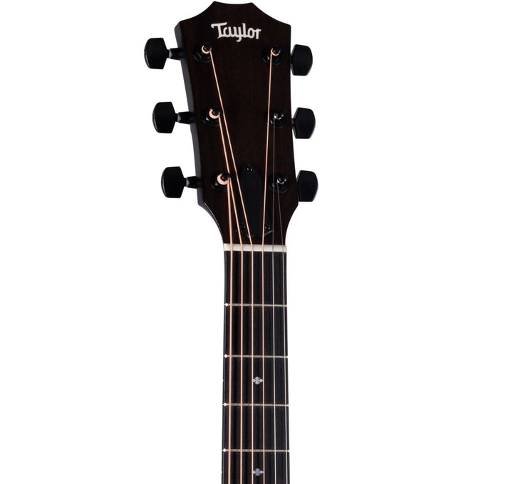 Taylor 214ce Special Edition Acoustic Electric Guitar - Transparent Grey
