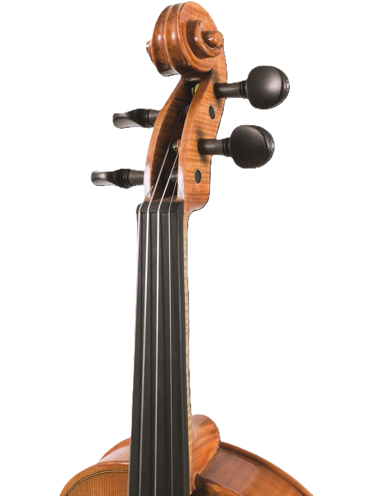 Maple Leaf Strings MLS140 Viola Outfit - 15\" 3
