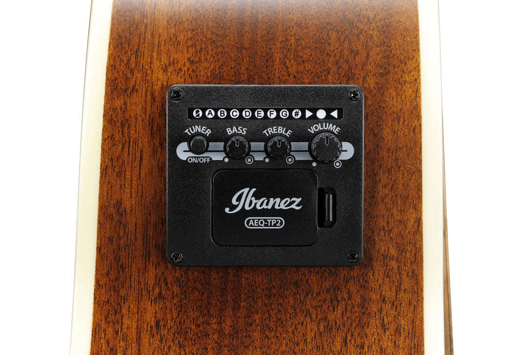 Ibanez AE100DBF Grand Auditorium Acoustic Electric Guitar - Dark Tide Blue Flat