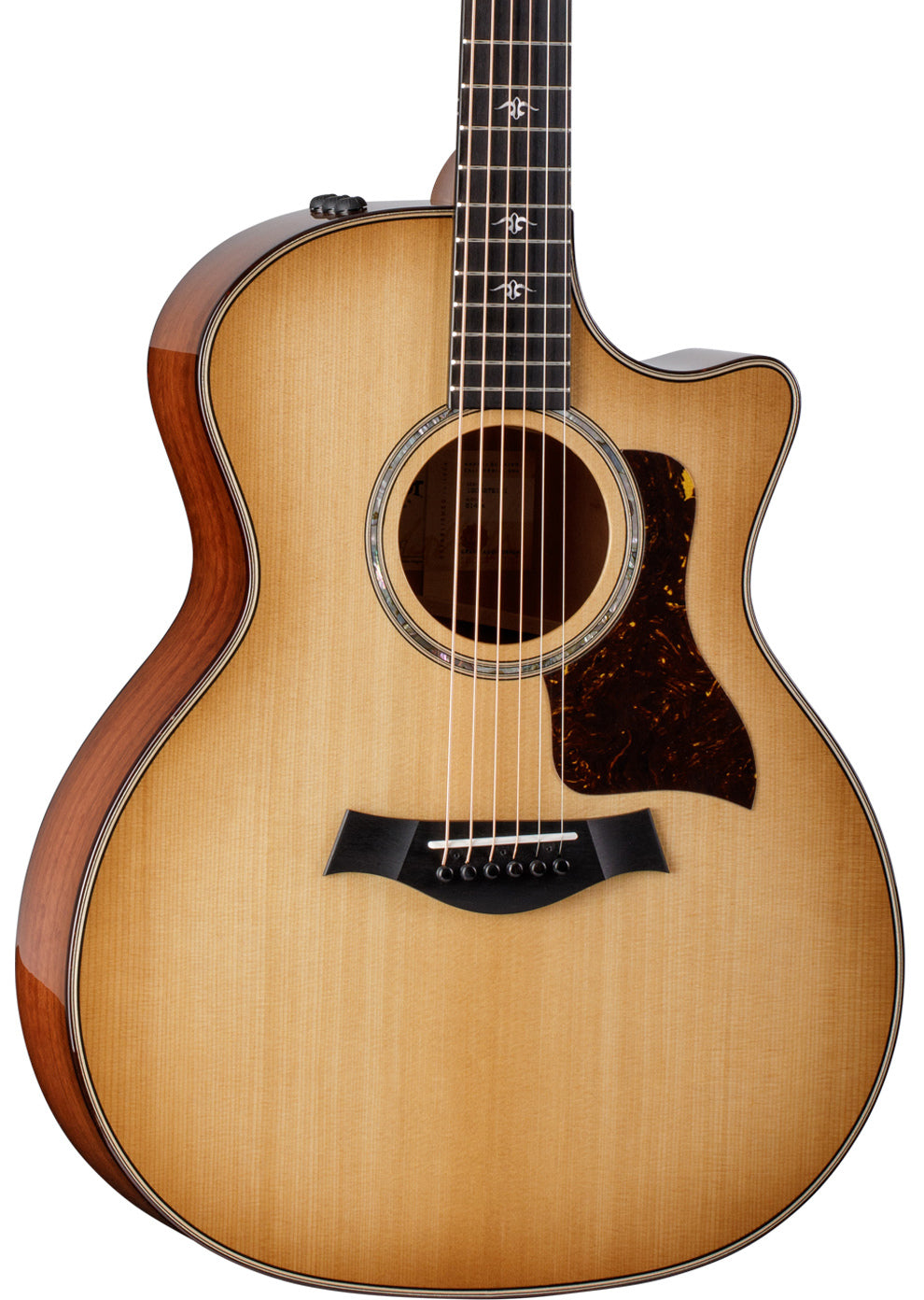 Taylor 514ce Acoustic Electric Guitar - Urban Ironbark