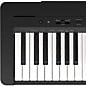 Yamaha P-143 88 Key Digital Piano - Black